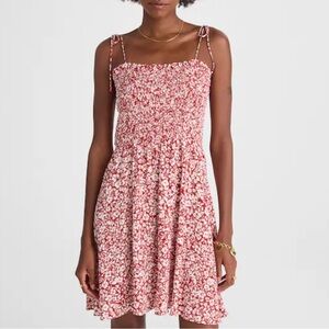 Madewell Tie Shoulder Mini Dress in Floral Amanda Floral Red